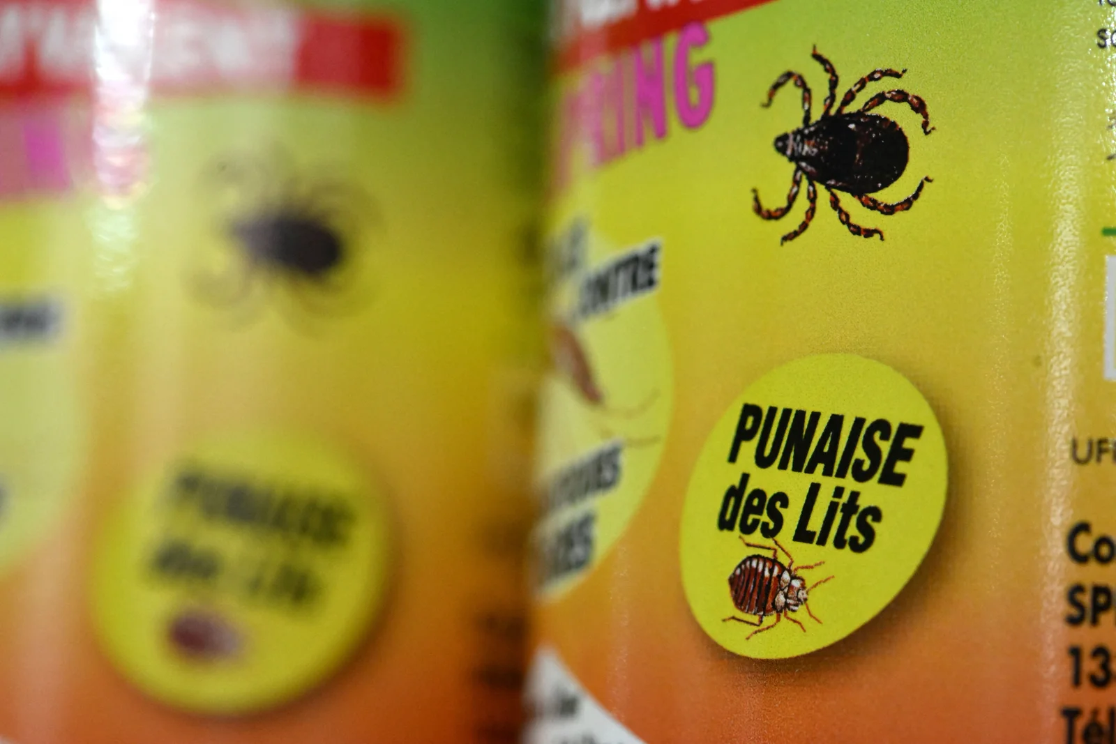 spray insecticide punaise de lit